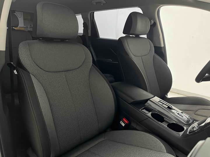 Hyundai Santa Fe 2020 2020款 380 TGDi 自动两驱GL精英版