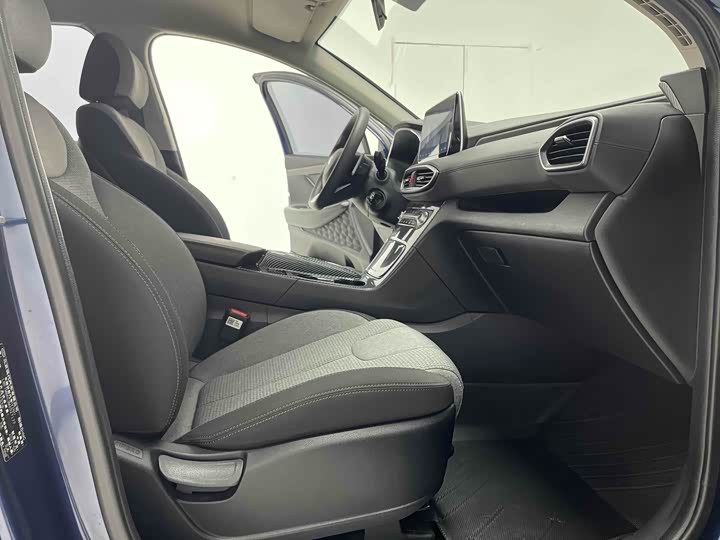 Hyundai Santa Fe 2020 2020款 380 TGDi 自动两驱GL精英版