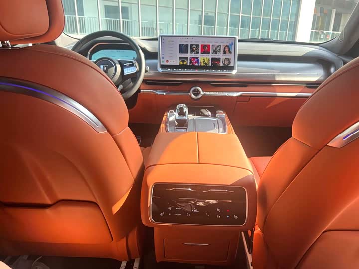 Tank 700 Hybrid 2024 2024款 Hi4-T 极境版