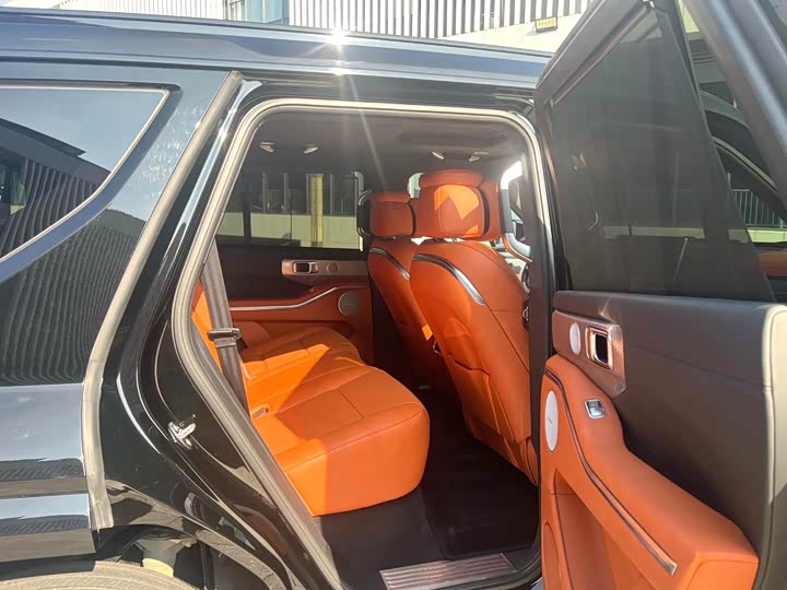 Tank 700 Hybrid 2024 2024款 Hi4-T 极境版