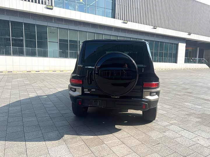 Tank 700 Hybrid 2024 2024款 Hi4-T 极境版