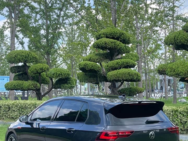 Volkswagen Golf GTI 2023 2023款 380TSI DSG GTI