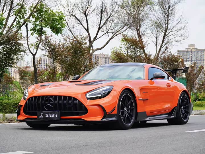 Mercedes-Benz AMG GT 2021 2021款 AMG GT Black Series
