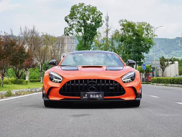 Mercedes-Benz AMG GT 2021 2021款 AMG GT Black Series