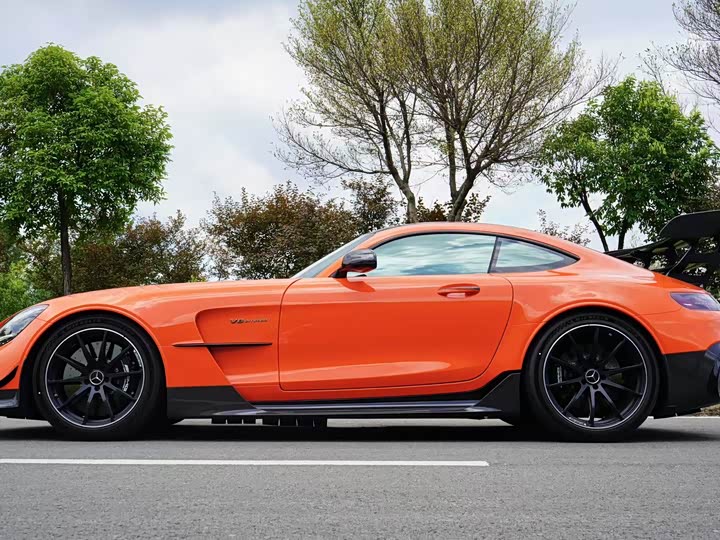 Mercedes-Benz AMG GT 2021 2021款 AMG GT Black Series