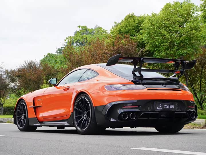 Mercedes-Benz AMG GT 2021 2021款 AMG GT Black Series