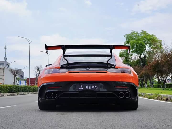 Mercedes-Benz AMG GT 2021 2021款 AMG GT Black Series