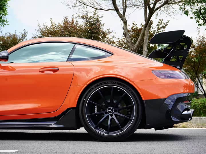 Mercedes-Benz AMG GT 2021 2021款 AMG GT Black Series