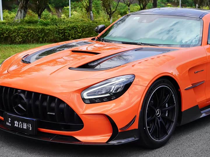 Mercedes-Benz AMG GT 2021 2021款 AMG GT Black Series