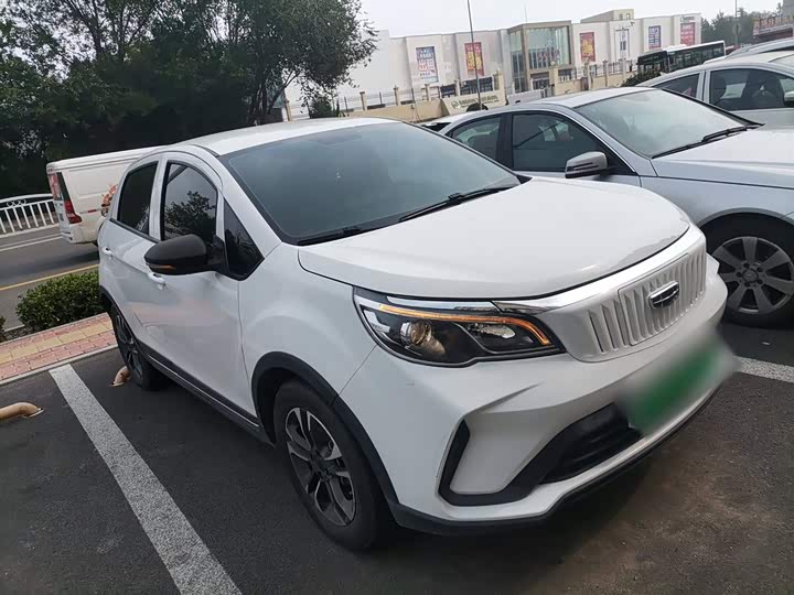 Geely Geometry EX3 2021 2021款 坚强牛牛