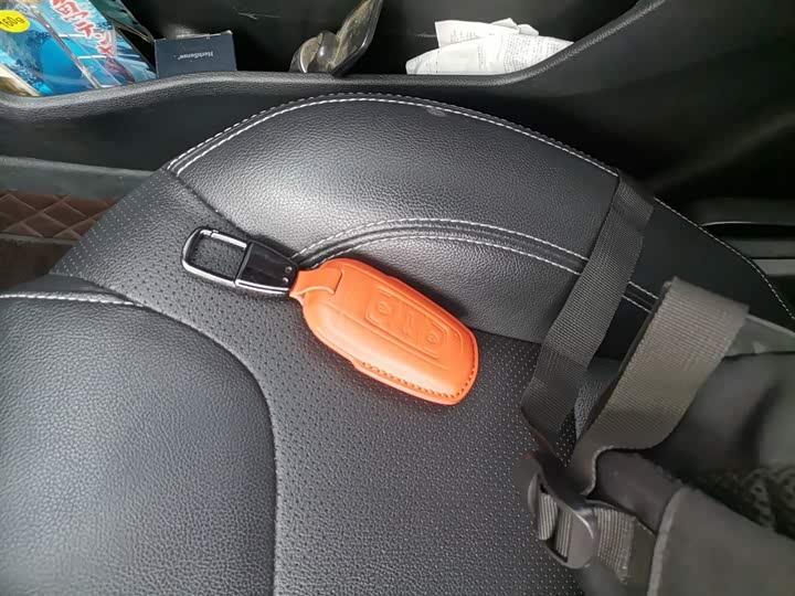 Geely Geometry EX3 2021 2021款 坚强牛牛