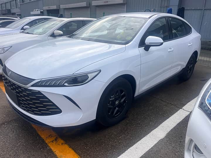 BYD Qin Plus 2025 2025款 DM-i 智驾版 55KM领先型