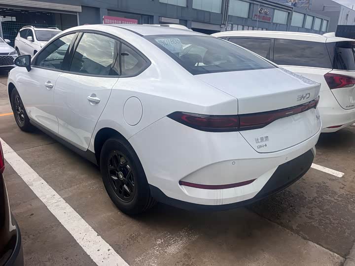 BYD Qin Plus 2025 2025款 DM-i 智驾版 55KM领先型