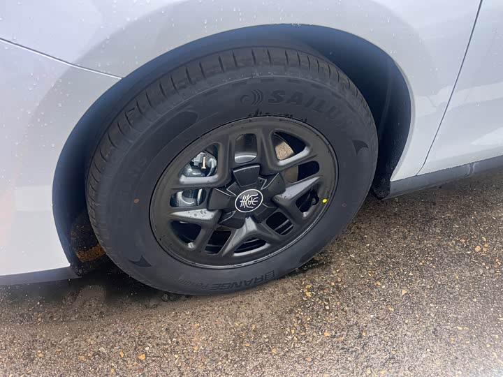 BYD Qin Plus 2025 2025款 DM-i 智驾版 55KM领先型