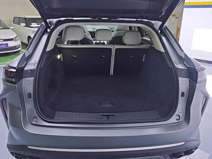 Exeed RX C-DM Hybrid 2024 2024款 1.5T 长续航Pro