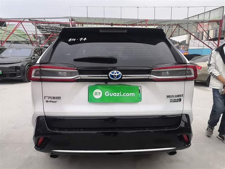 Toyota Wildlander Hybrid 2021 2021款 高性能版 2.5L 四驱劲擎版