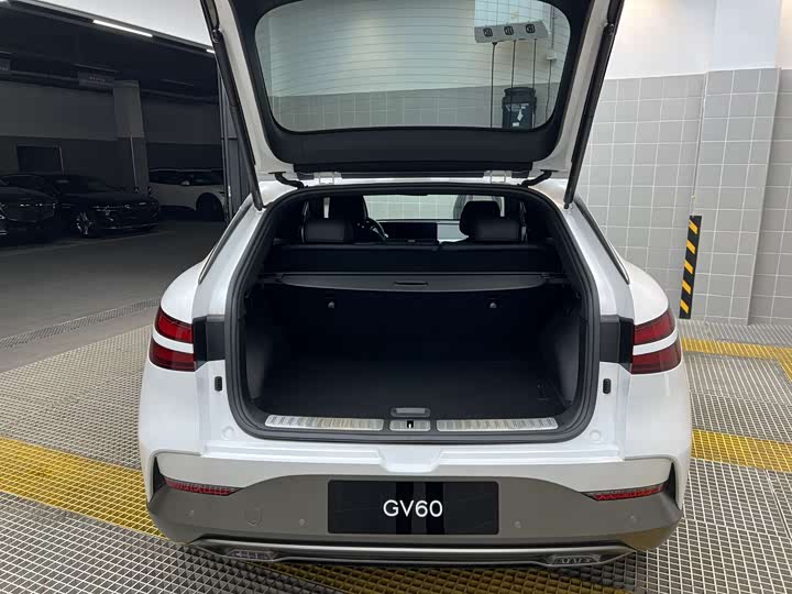 Genesis GV60 2023 2023款 单电机后驱豪华版