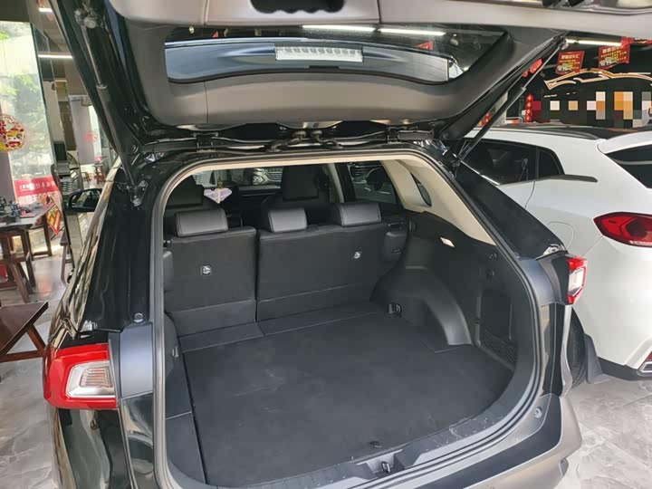 Toyota Wildlander 2024 2024款 2.0L CVT两驱豪华PLUS版