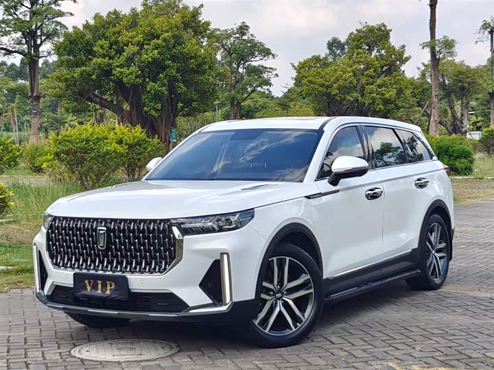 Bestune T99 2021 2021款 20TD 自动机长版