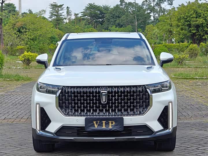 Bestune T99 2021 2021款 20TD 自动机长版