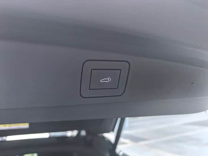 HiPhi X 2021 2021款 旗舰版4座