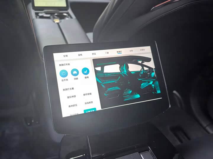 HiPhi X 2021 2021款 旗舰版4座