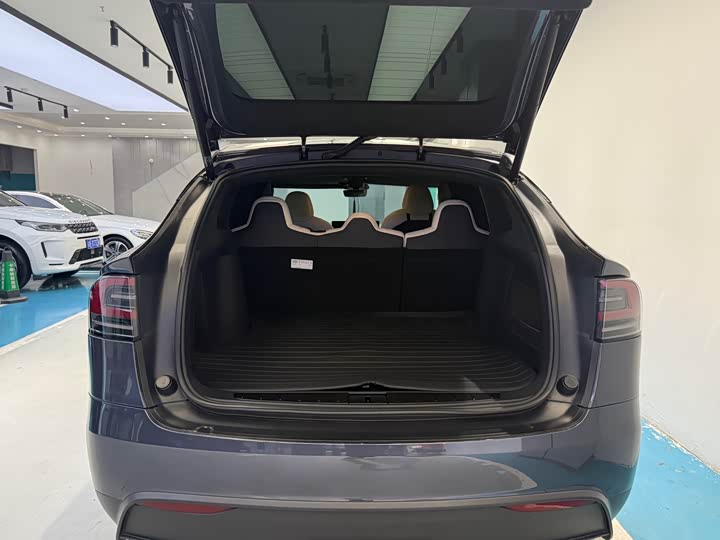 Tesla Model X 2023 2023款 双电机全轮驱动版