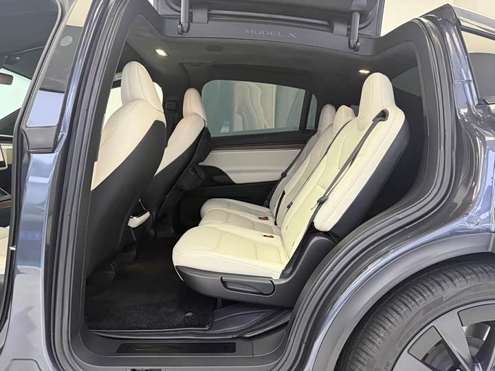 Tesla Model X 2023 2023款 双电机全轮驱动版