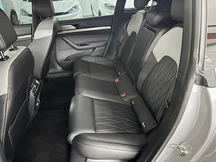 Hozon S Hunting 2024 2024款 增程300 标准版