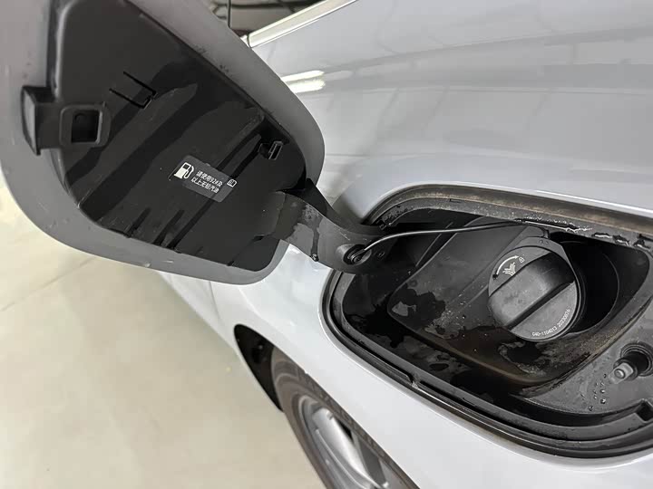 Hozon S Hunting 2024 2024款 增程300 标准版