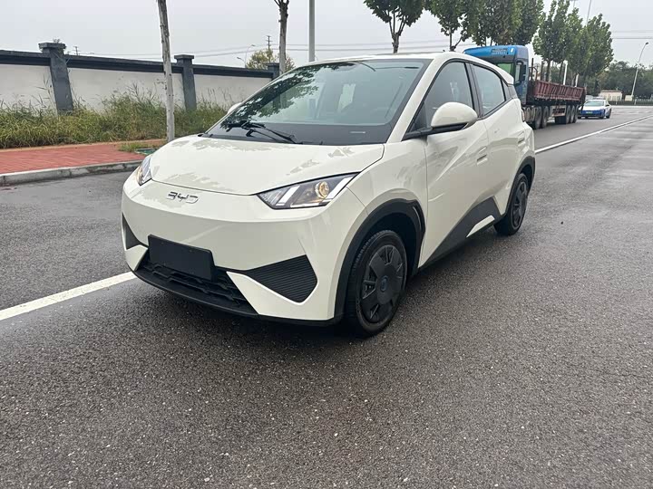 BYD Seagull 2025 2025款 智驾版 305km 活力版