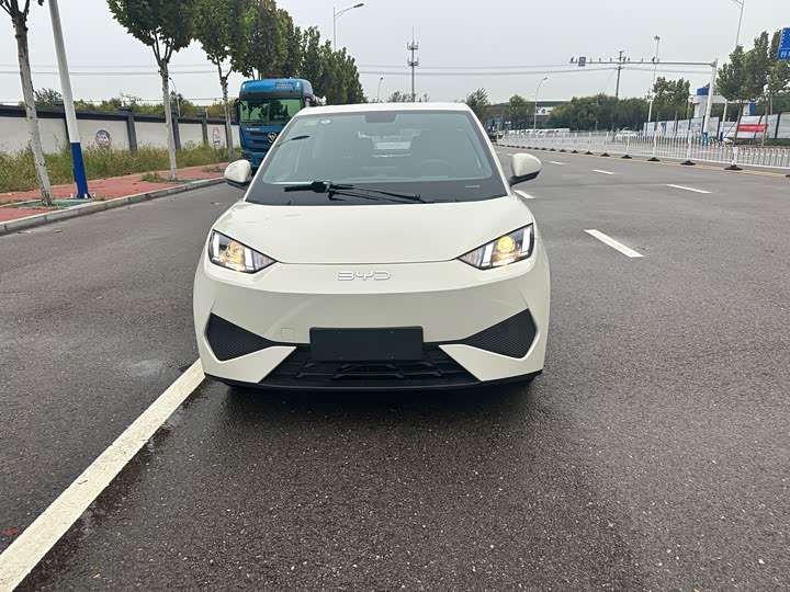 BYD Seagull 2025 2025款 智驾版 305km 活力版