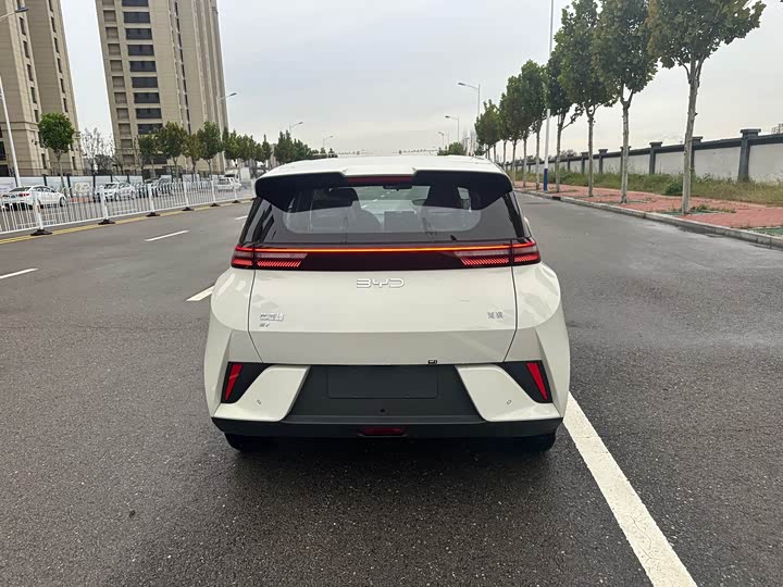 BYD Seagull 2025 2025款 智驾版 305km 活力版