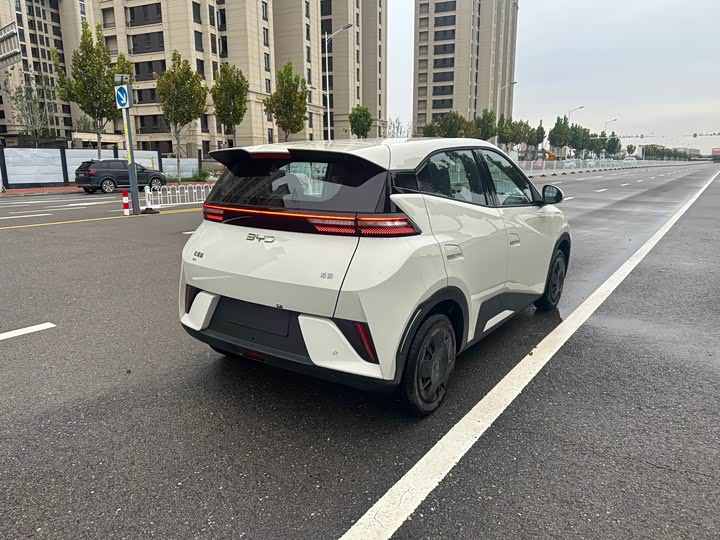 BYD Seagull 2025 2025款 智驾版 305km 活力版