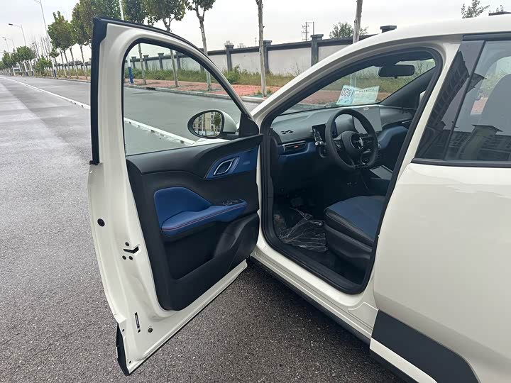 BYD Seagull 2025 2025款 智驾版 305km 活力版