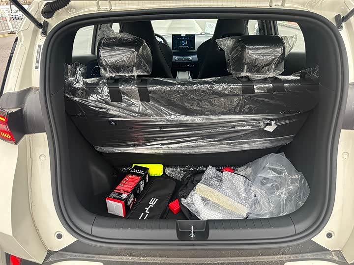 BYD Seagull 2025 2025款 智驾版 305km 活力版