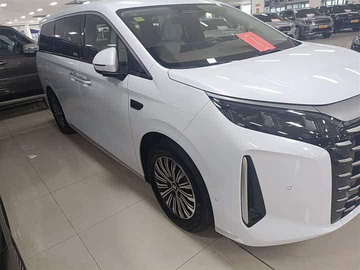 BYD Xia 2025 2025款 DM-i 1.5T 180km 卓越型