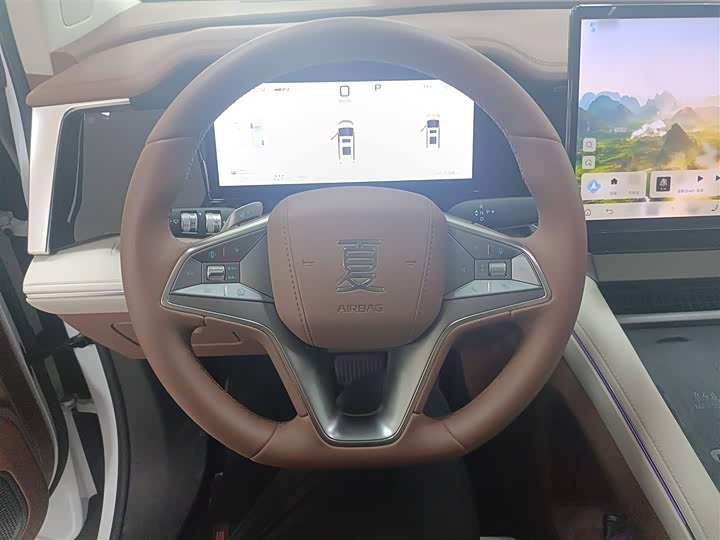 BYD Xia 2025 2025款 DM-i 1.5T 180km 卓越型