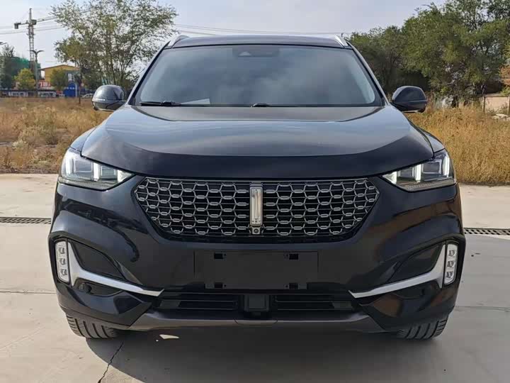 Wey VV6 2021 2021款 2.0T 两驱智享+