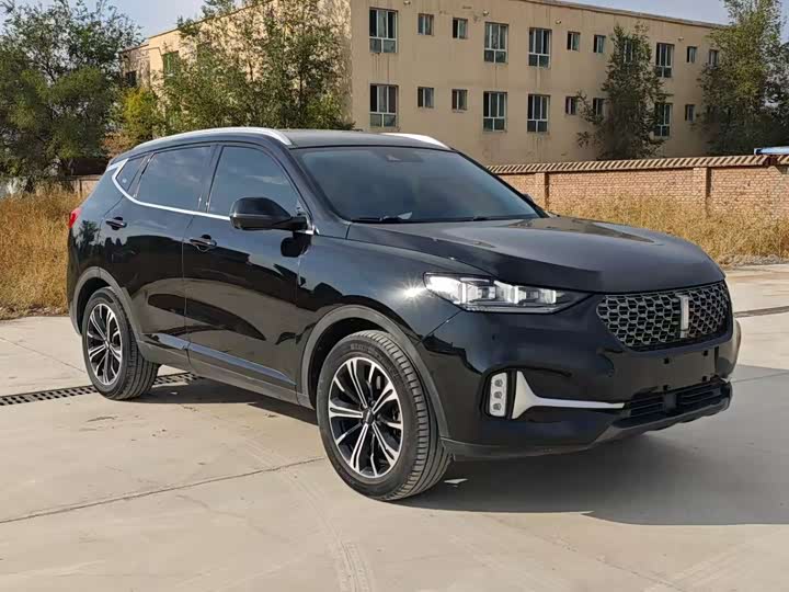 Wey VV6 2021 2021款 2.0T 两驱智享+