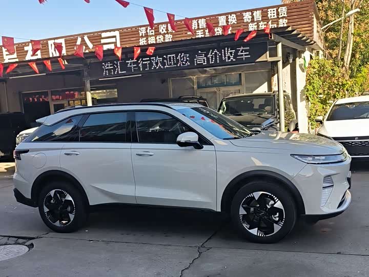 Haval Ruge Max 2025 2025款 Hi4 165 Plus 长续航版