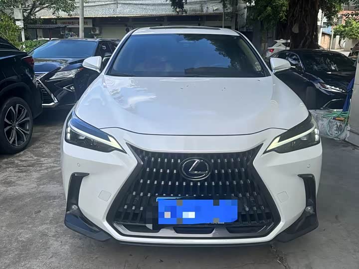 Lexus NX 2023 2023款 350h 前驱 创悦版