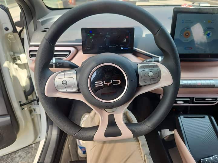 BYD Seagull 2025 2025款 305km 活力版