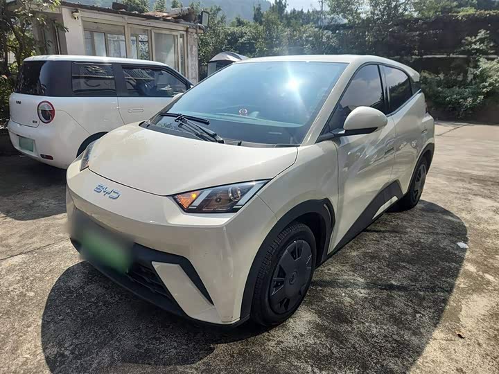 BYD Seagull 2025 2025款 305km 活力版