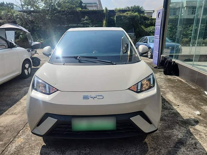 BYD Seagull 2025 2025款 305km 活力版