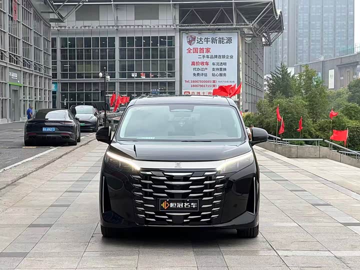 2025 BYD Xia