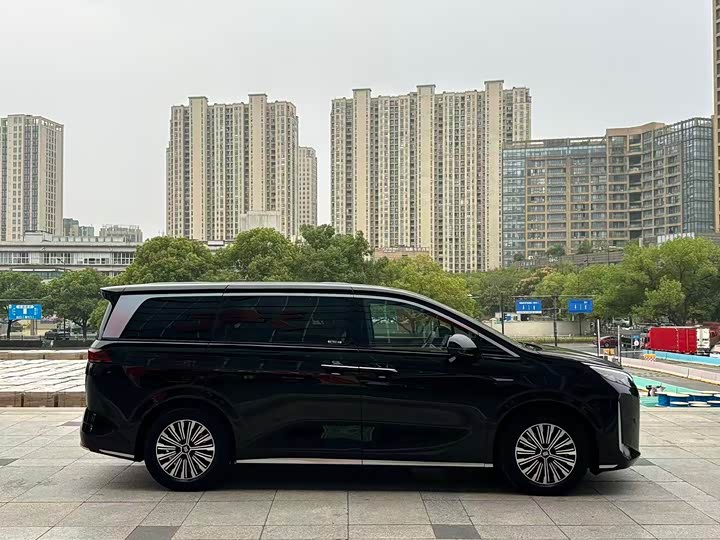 2025 BYD Xia