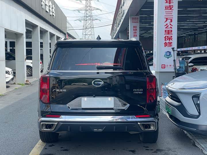 GAC Trumpchi GS8 2024 2024款 双擎系列 2.0TM 两驱尊贵版
