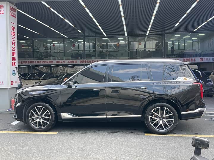 GAC Trumpchi GS8 2024 2024款 双擎系列 2.0TM 两驱尊贵版