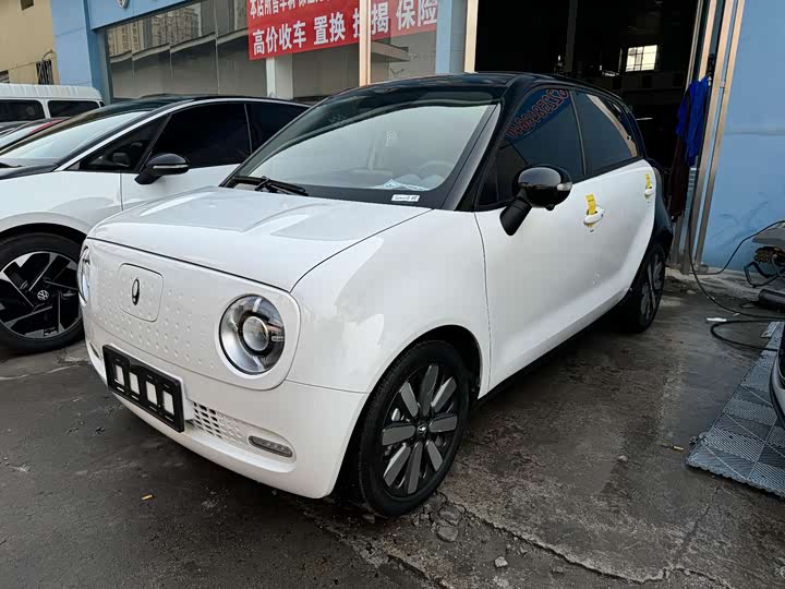 Ora Black Cat 2022 2022款 351km 豪华型 磷酸铁锂